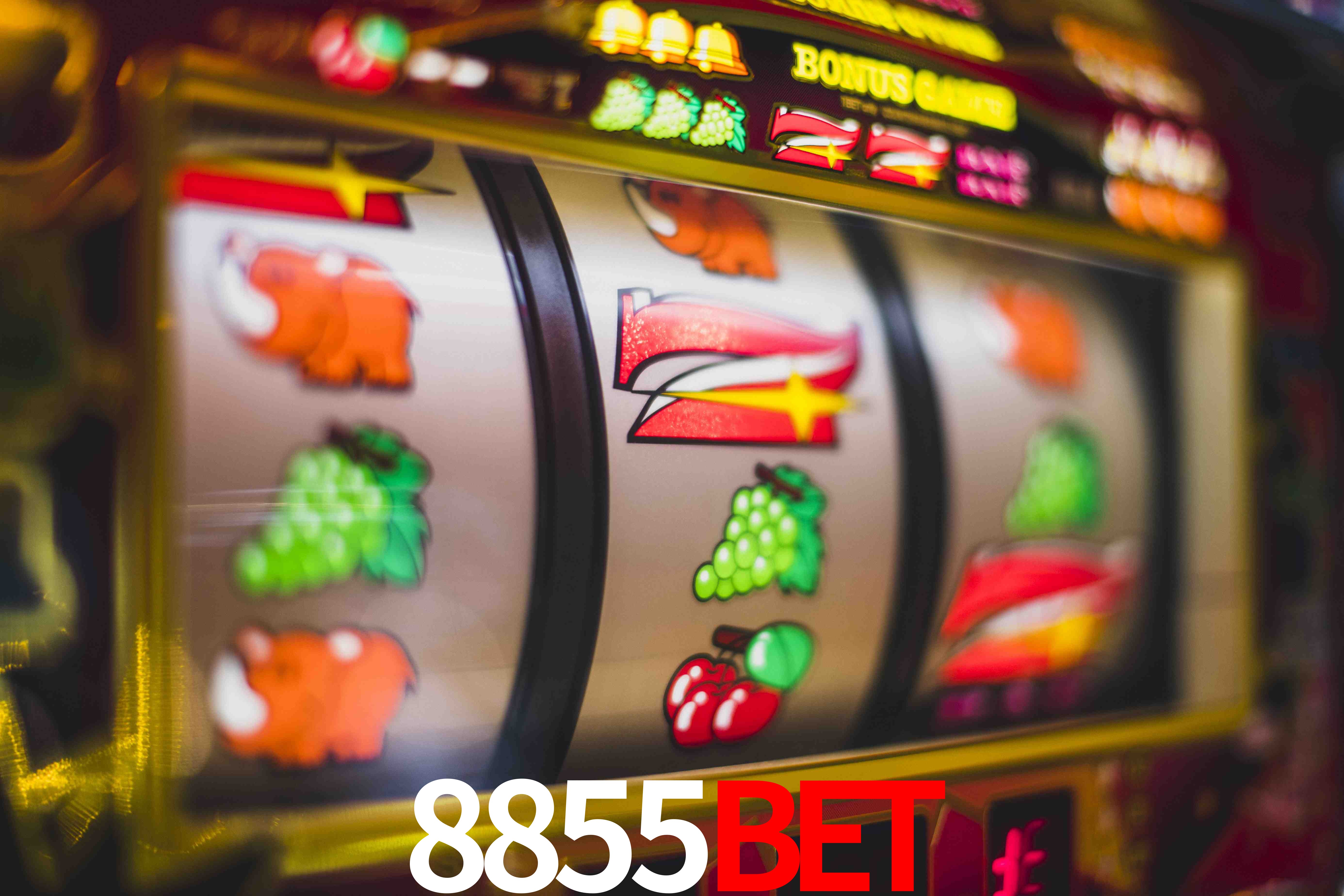 Live Casino 8855bet